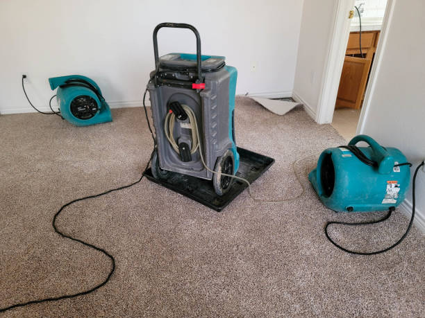 Best Professional water damage repair  in Pine Nyon, CA
