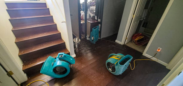 Best Water damage contractors near me  in Pine Nyon, CA