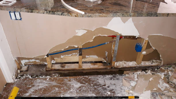 Trusted Pine Canyon, CA Water damage restoration Experts