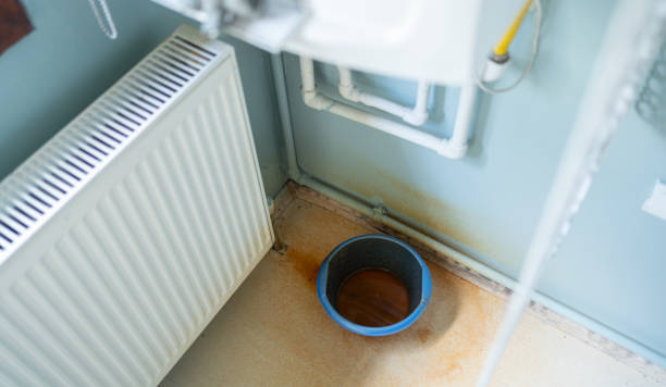 Best Carpet water damage restoration  in Pine Nyon, CA