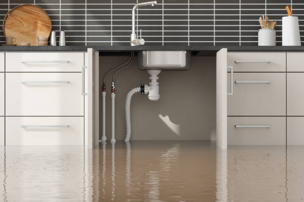 Best Carpet water damage restoration  in Pine Nyon, CA