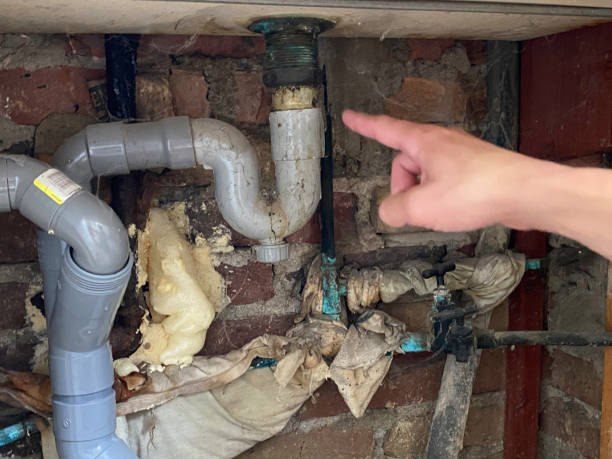 Best Water damage restoration near me  in Pine Nyon, CA