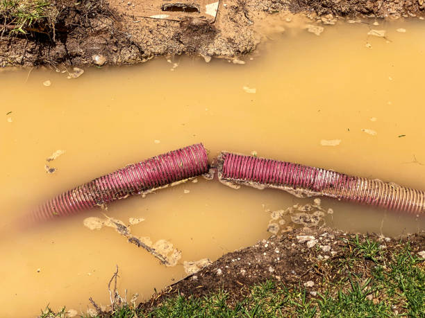 Professional Water damage restoration in Pine Canyon, CA