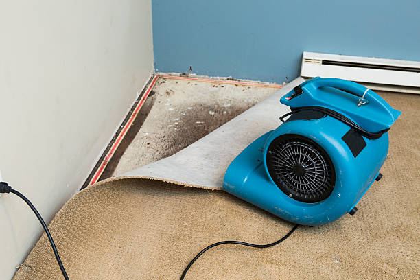 Best 24-hour water damage restoration  in Pine Nyon, CA